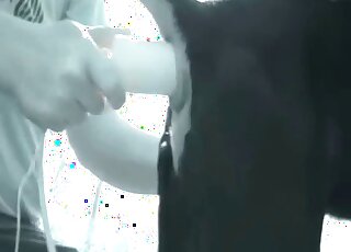 Anal